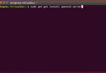 Vom Host auf eine Virtuelle Maschine mit SSH zugreifen