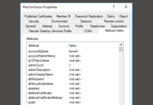 Active Directory Attribute Editor anzeigen
